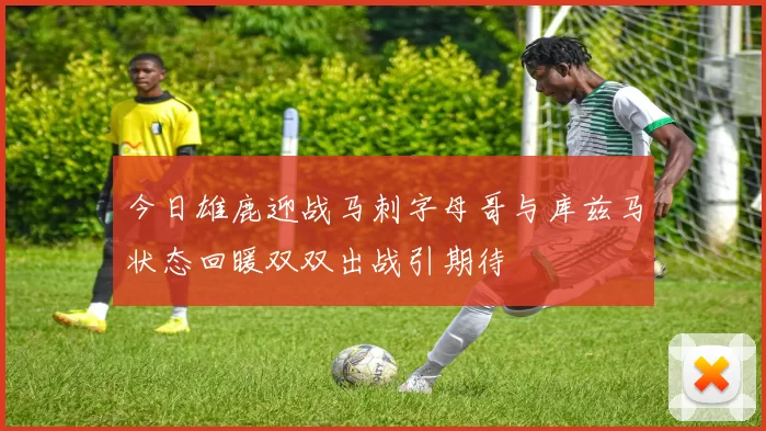 今日雄鹿迎战马刺字母哥与库兹马状态回暖双双出战引期待