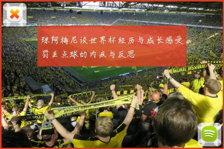 琼阿梅尼谈世界杯经历与成长感受罚丢点球的内疚与反思